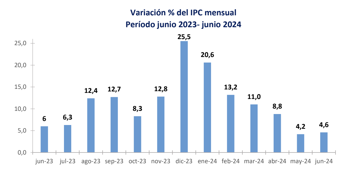 Informe de Actividad y Precios - julio 2024