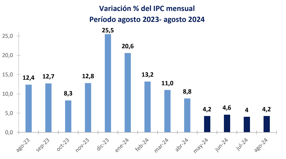 Informe de Actividad y Precios - agosto 2024